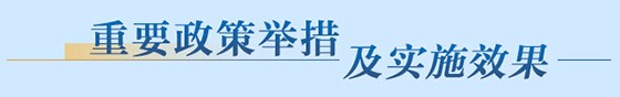 重要政策举措及实施效果
